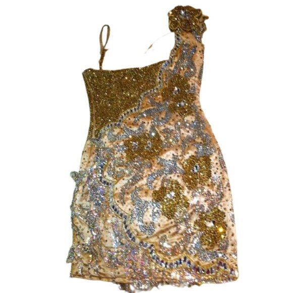 Luxury Couture Swarovski Crystals Runway Fringes Flowers Cocktail Glamour Dress - Picture 12 of 12